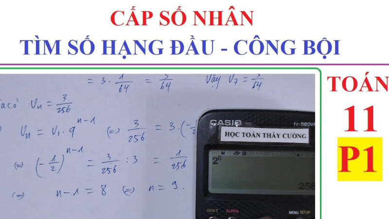 công thức tính công bội của cấp số nhân